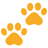 Pet Friendly